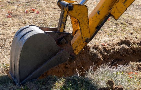 Dikning – grunden för hållbar mark, starka vägar och friska skogar